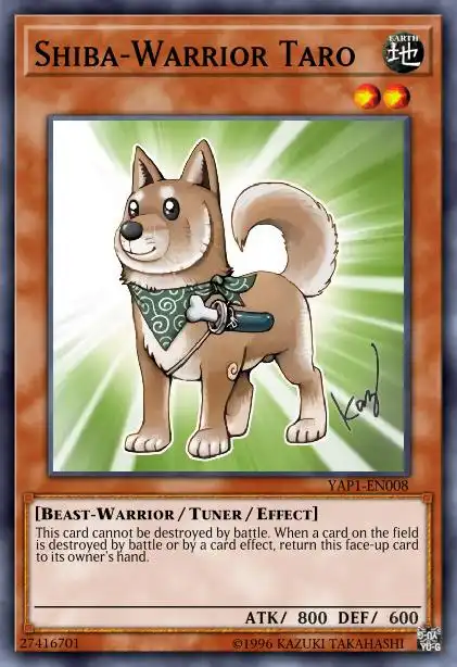 Edison Rulings for Shiba-Warrior Taro